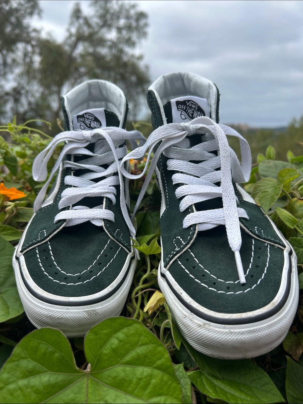 Vans Black and White Sk8-Hi Sneakers - Picture 2 of 5